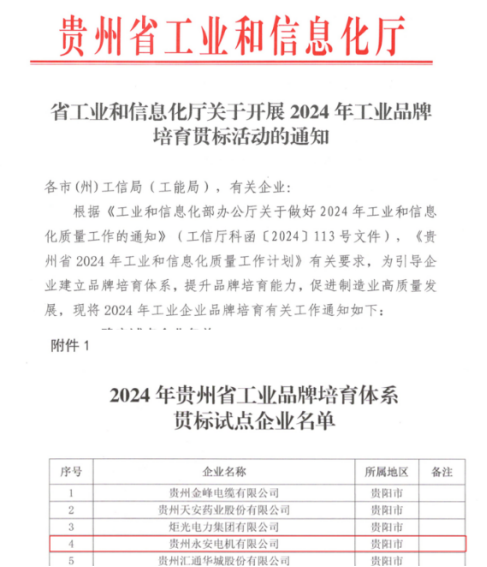 喜訊！貴州永安榮獲“2024年貴州省工業(yè)品牌培育體系貫標(biāo)試點(diǎn)企業(yè)”稱號(hào)